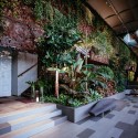 The New Orangery  / WWAA © Rafał Kłos
