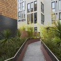 300 Ivy Street / David Baker Architects 300 Ivy Street / David Baker Architects © Bruce Damonte