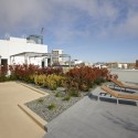 300 Ivy Street / David Baker Architects 300 Ivy Street / David Baker Architects © Bruce Damonte