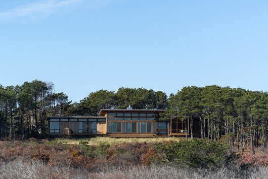 © Hammer Architects