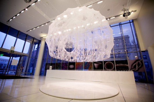 Front view of the completed Silk Pavilion in the MIT Media Lab Lobby (bottom). Photo credit: Steven Keating. Courtesy of Mediated Matter