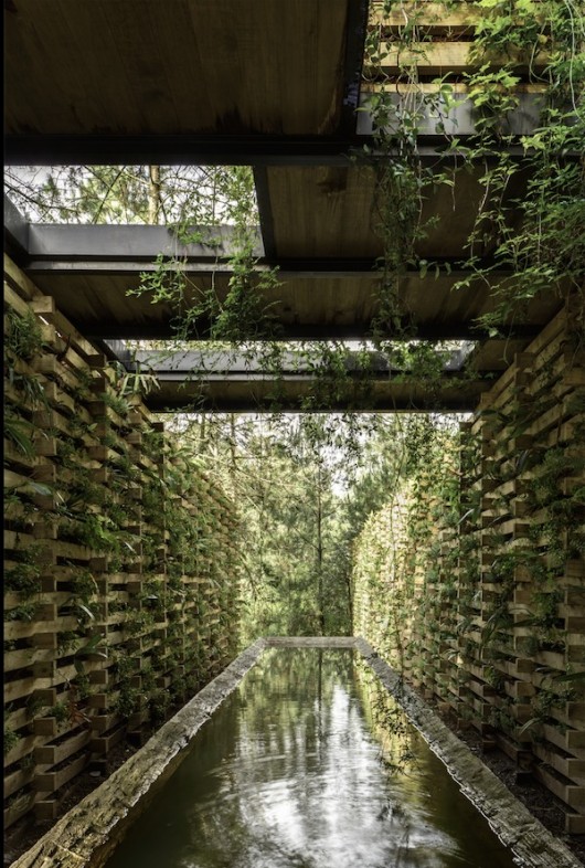 MANUEL CERVANTES CESPEDES / CC ARQUITECTOS, Orchid Pavillion | photo by Rafael Gamo