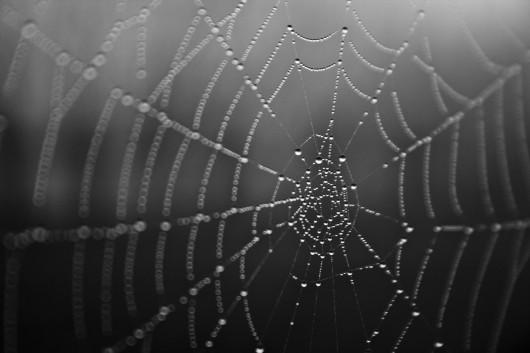 © Flickr CC User garunaborbor