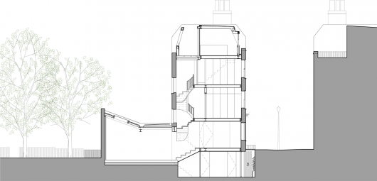 Longitudinal Section