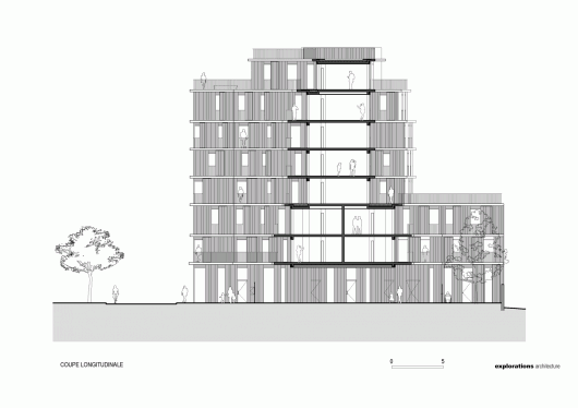 Elevation