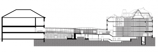 Longitudinal Section