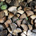 Courtesy of Kawahara Krause Architects