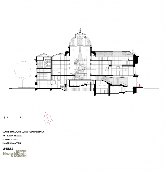 Longitudinal Section