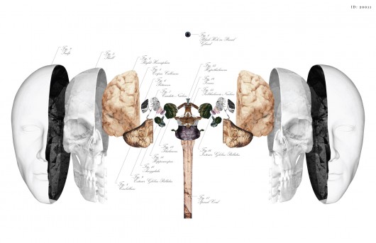 Honorable Mention: “Verse” / Chanel Dehond. Image © Blank Space