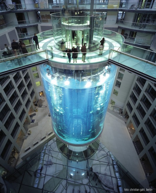 AquaDom, Berlin. Image Courtesy of ICM