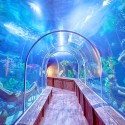 AquaMundo, Santo Dominigo. Image Courtesy of ICM