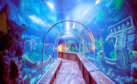 AquaMundo, Santo Dominigo. Image Courtesy of ICM