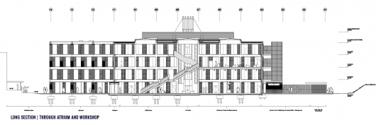 Longitudinal Section