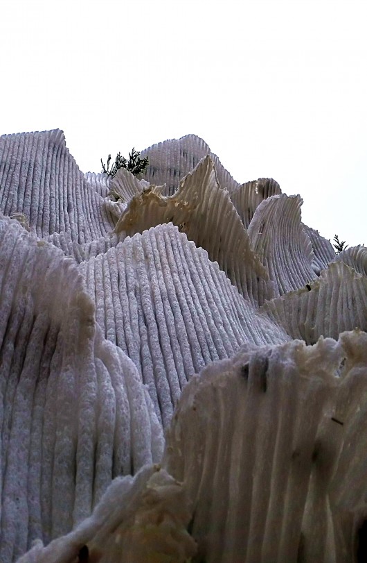 Close-up of the foam panels. Image Courtesy of Michael Signorile and Edward Perez