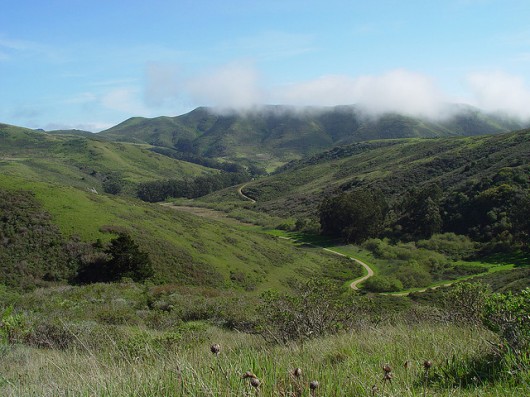 Marin County Headlands. Image © Flickr CC User Franco Folini