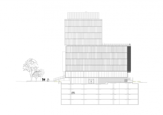 Elevation
