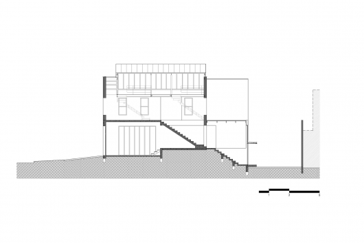 Longitudinal Section