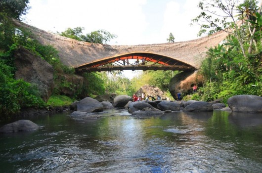 One of Elora Hardy's bamboo bridges. Image Courtesy of PT Bambu