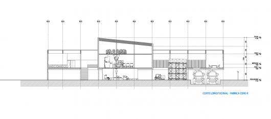 Longitudinal Section
