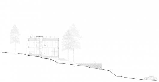Section