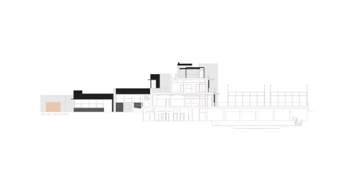 Longitudinal Section