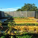 Courtesy of Susan Fitzgerald Architecture