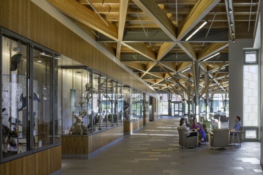 Gateway Center - SUNY-ESF College of Environmental Science & Forestry; Syracuse, NY / Architerra © David Lamb