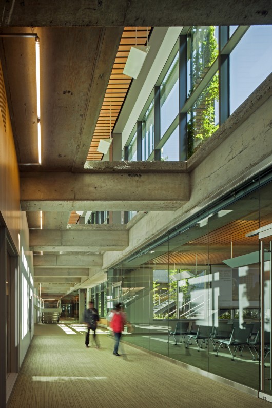 Edith Green-Wendell Wyatt (EGWW) Federal Building Modernization; Portland, Oregon / SERA Architects with Cutler Anderson Architects © Nic Lehoux